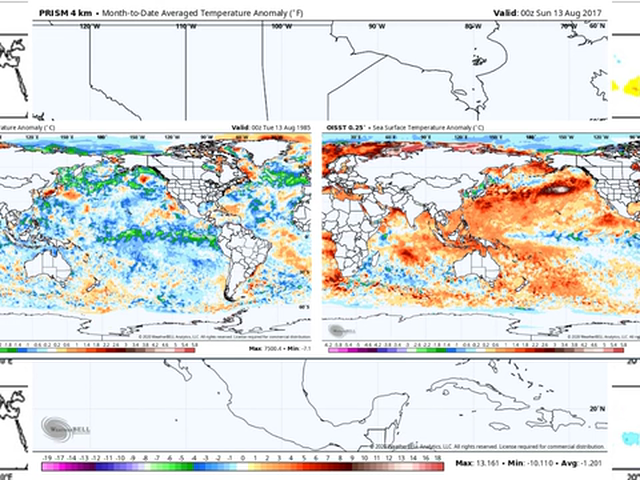 The  Saturday Sunnary
