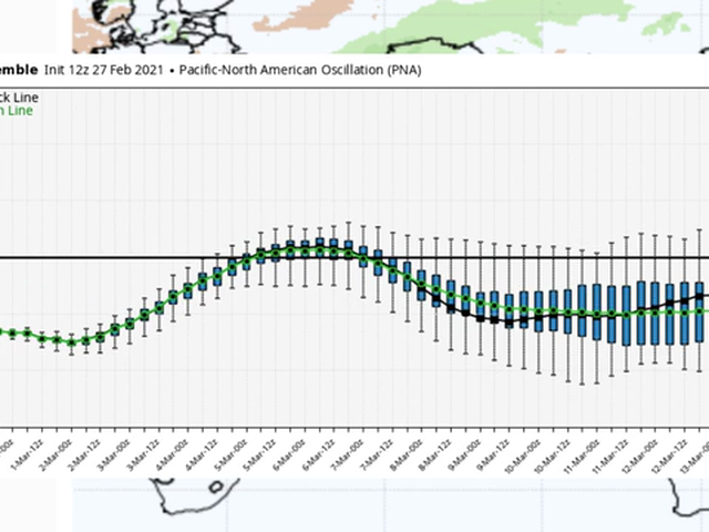 The Saturday Summary