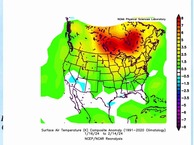 The Satuirday Summary