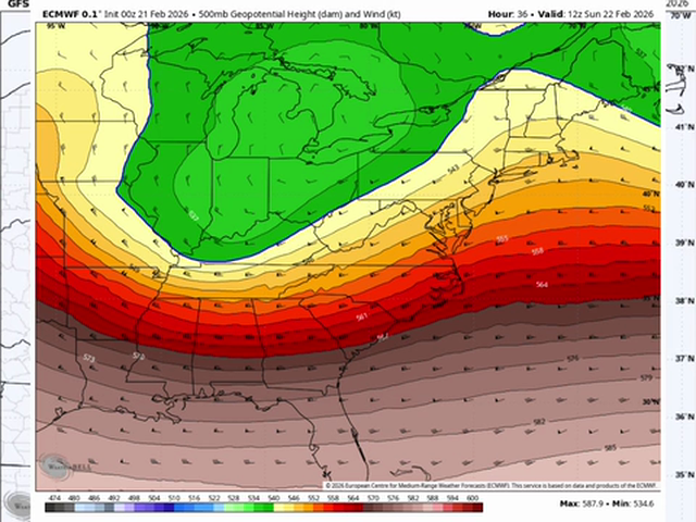 The Saturday Summary