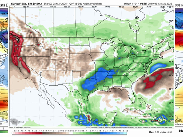 The Saturday Summary