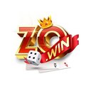 Image of ZOWIN 1GAMES