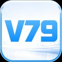 Image of V79 Official