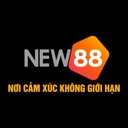 Image of NEW88