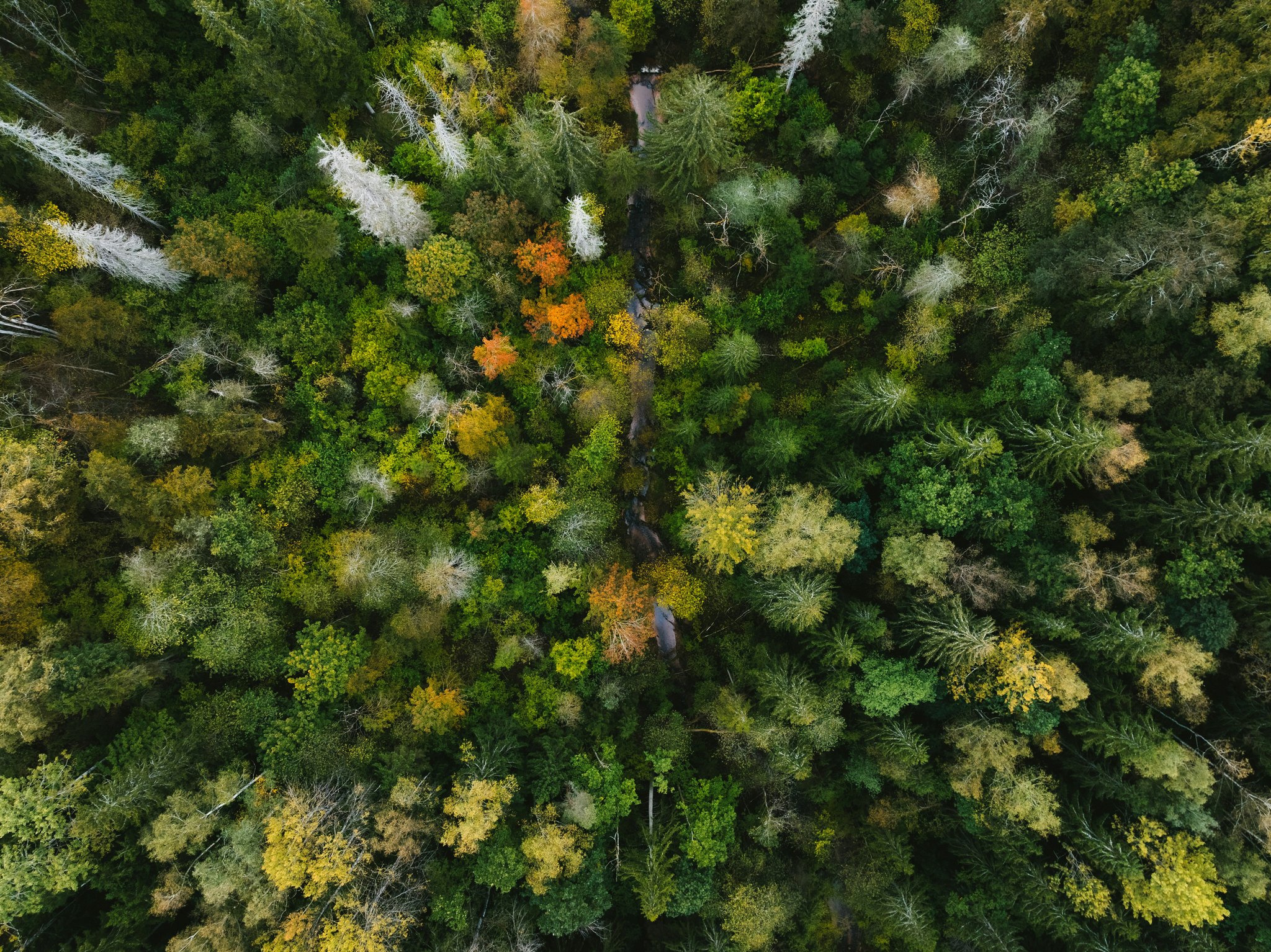post cover image