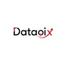 Image of Dataqix Qix