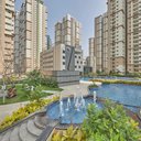 Image of Prestige Golden Grove