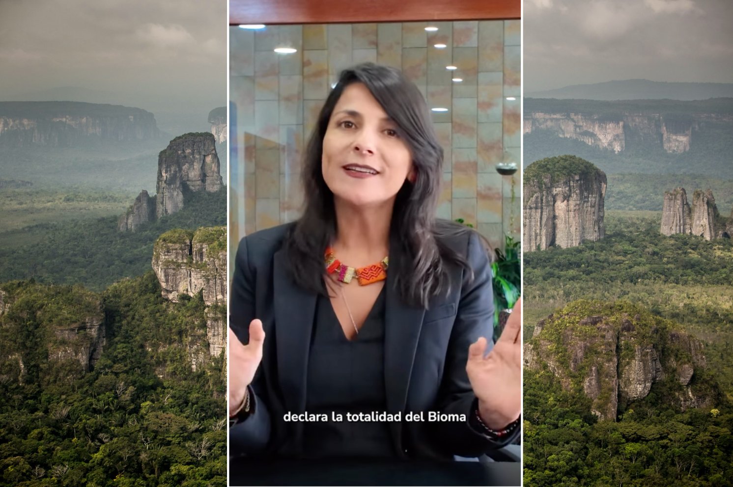 In her final video message as Environmental Minister, Irene Vélez Torres, announced a decision to protect 42% of Colombia’s continental territory from large-scale mining and oil and gas exploration and extraction.