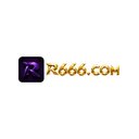 Image of R666b top