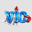 Image of VicClub Hu Net