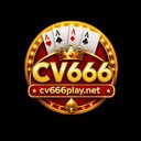Image of cv666
