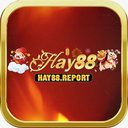 Image of HAY88