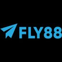 Image of fly88