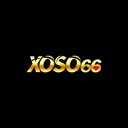 Image of XOSO 66