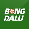 Image of BONGDALU voyage