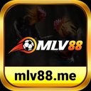 Image of mlv88me