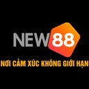 Image of NEW88