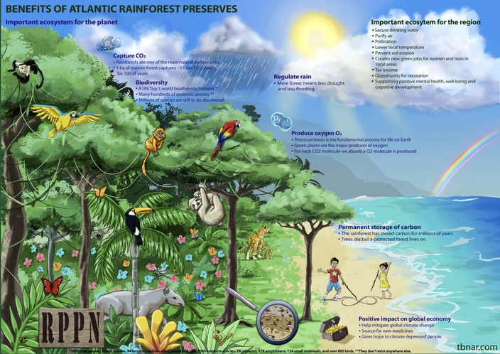 RPPN (Reserva Particular do Patrimônio Natural) is a concept for nature conservation in private properties in Brazil, supported by WWF. Under Brazilian law, the land may be used for research, education, and eco-tourism.