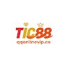 Image of TIC 88