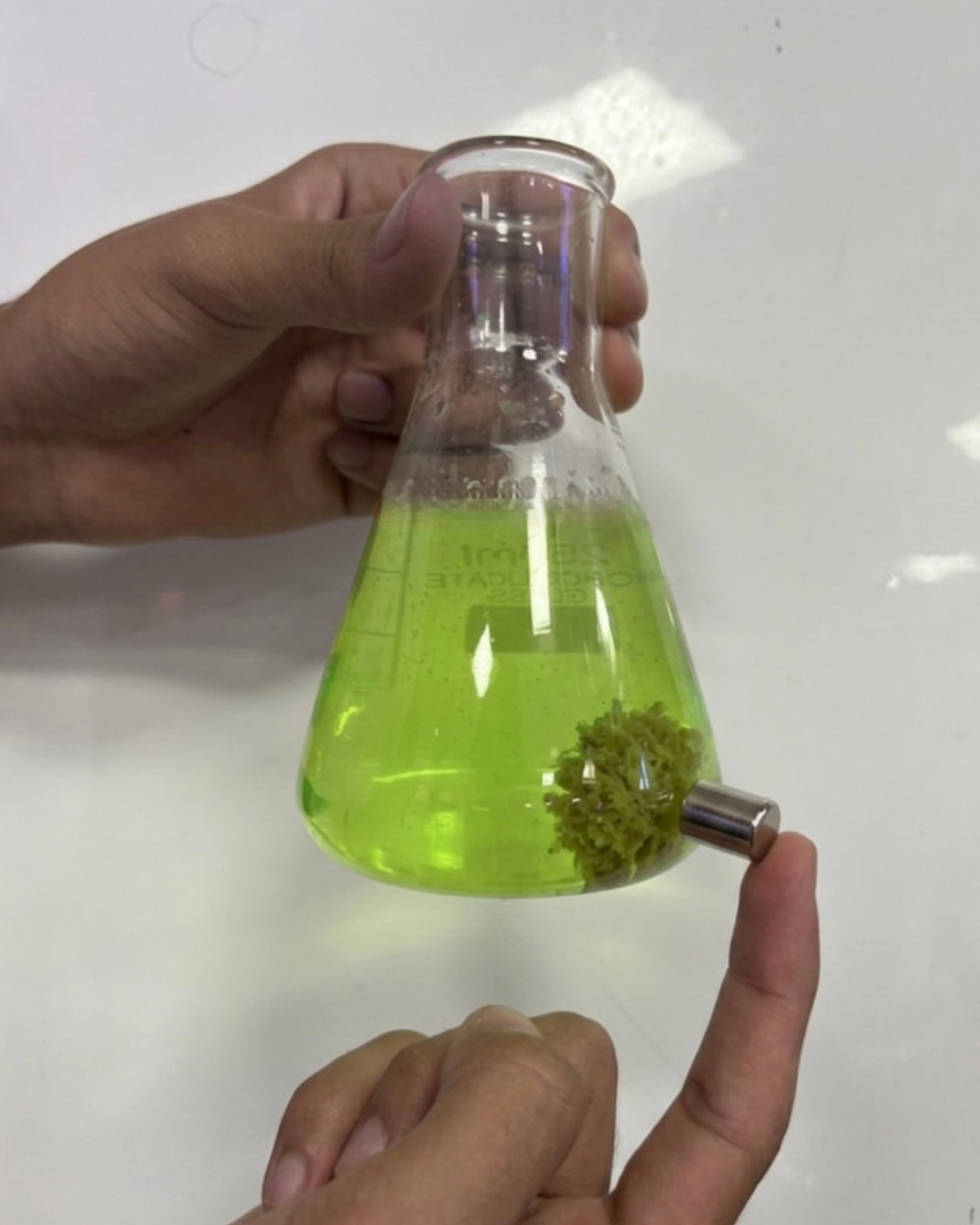 Demonstration - Handheld magnet attracts formed clumps