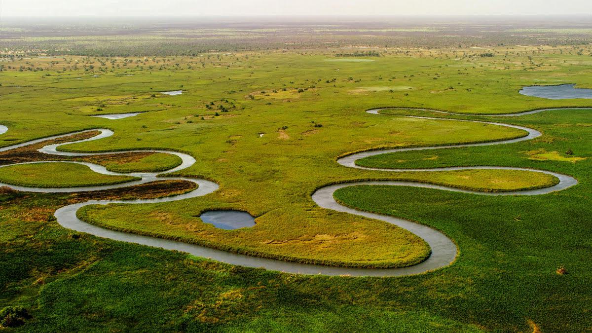 The Okavango Delta, a UNESCO World Heritage site, and one of the very few major interior delta systems that do not flow into a sea or ocean, with a wetland system that is almost intact.