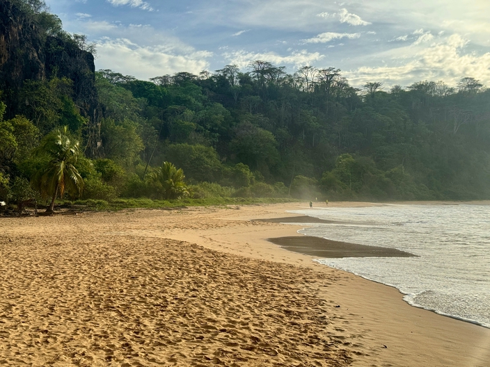 Mata Atlântica, the Atlantic Rainforest in Brazil. A biodiversity hotspot – and an amazing climate solution.  Photo by Azzedine Rouichi on Unsplash