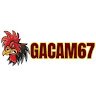 Image of Gacam67