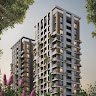 Image of Prestige Evergreen