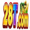 Image of 28t