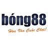 Image of Bong88 llc