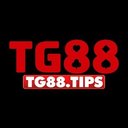 Image of TG88
