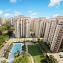 Image of Prestige Evergreen