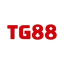 Image of Tg88cd com