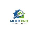 Image of Mold Pro Testing