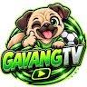 Image of gavangtvnews