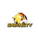 Image of GàVàng TV