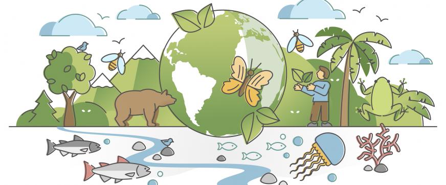 Celebrate Biodiversity Day by remembering water