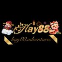 Image of HAY88