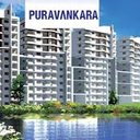 Image of Purva Silversky
