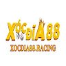 Image of XOCDIA88