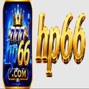 Image of HP66