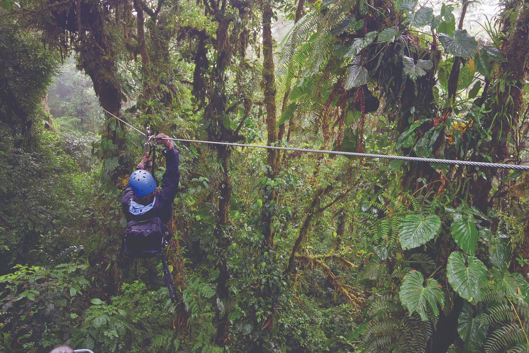 Eco-tourism, like here in the could forests of Monteverde, has helped Costa Rica protect and restore its forests. Photo: Visit Costa Rica