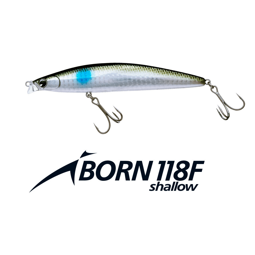 Ima iBORN118F shallow #IB118FS-004