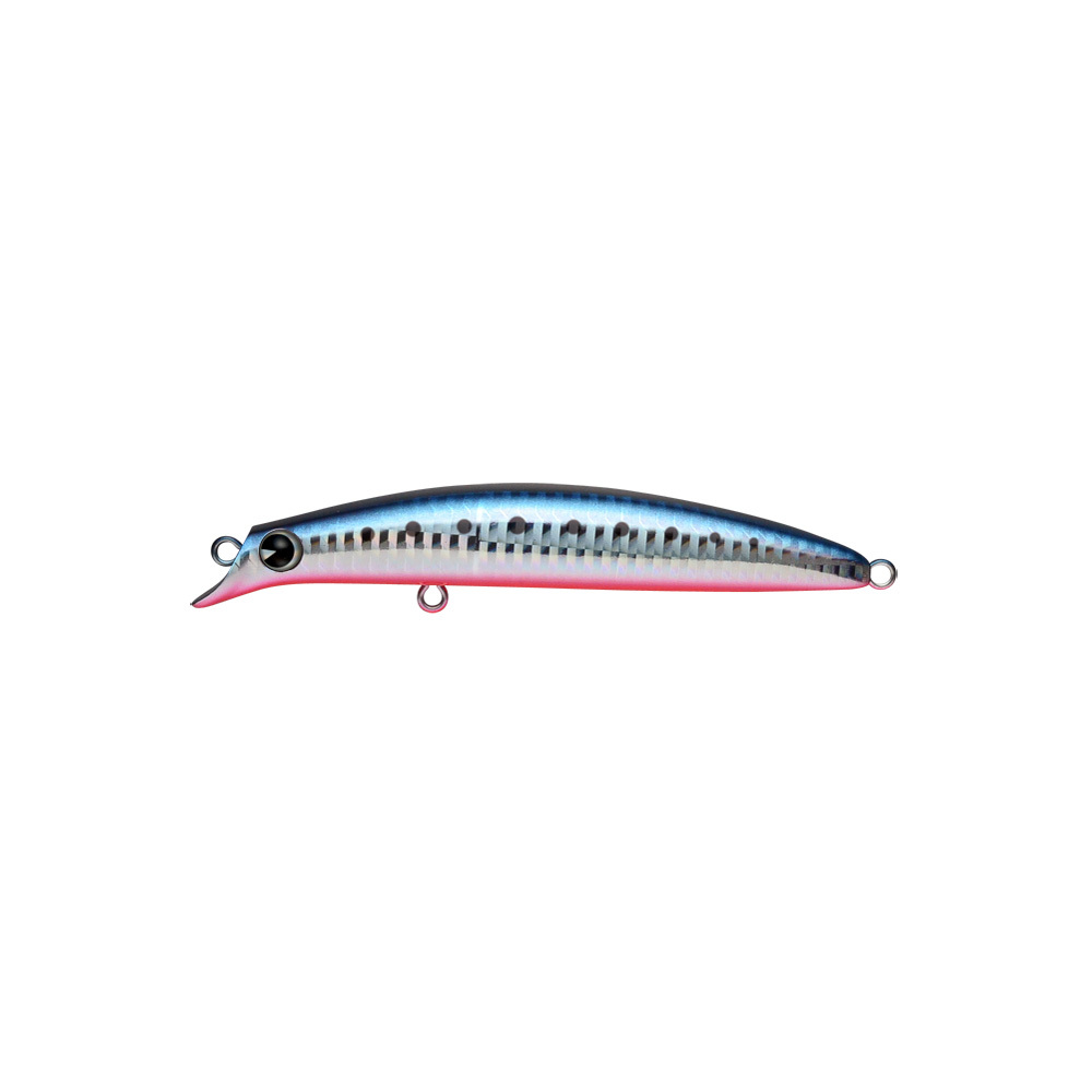 variations Japanese sardine