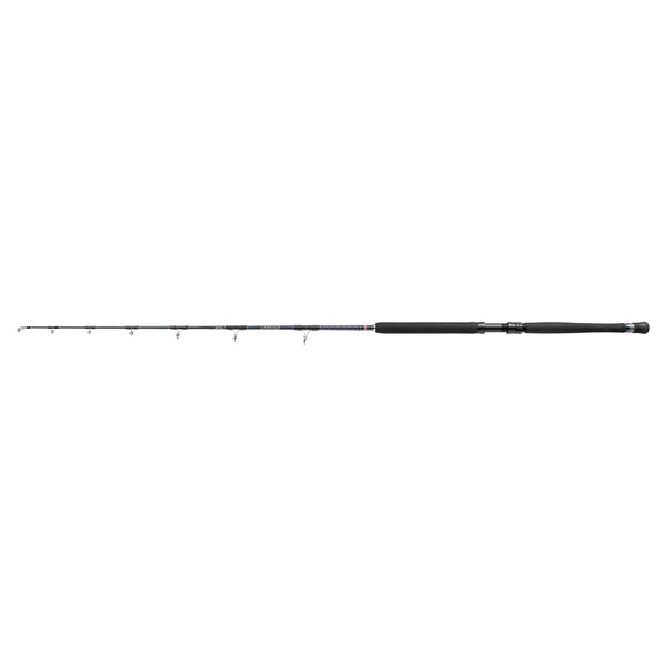 Penn Spinning Rod