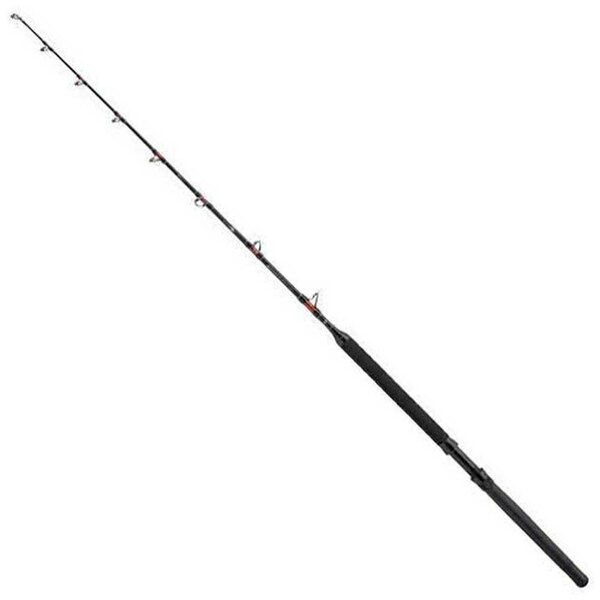 Penn Spinning Rod