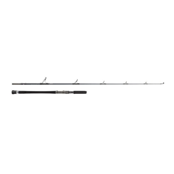 Penn Spinning Rod