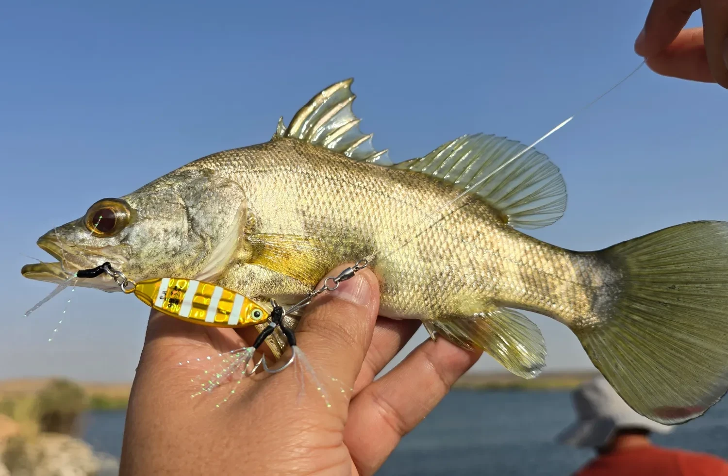 Magic Jig | Premium Metal Jig for Slow Jigging - 6