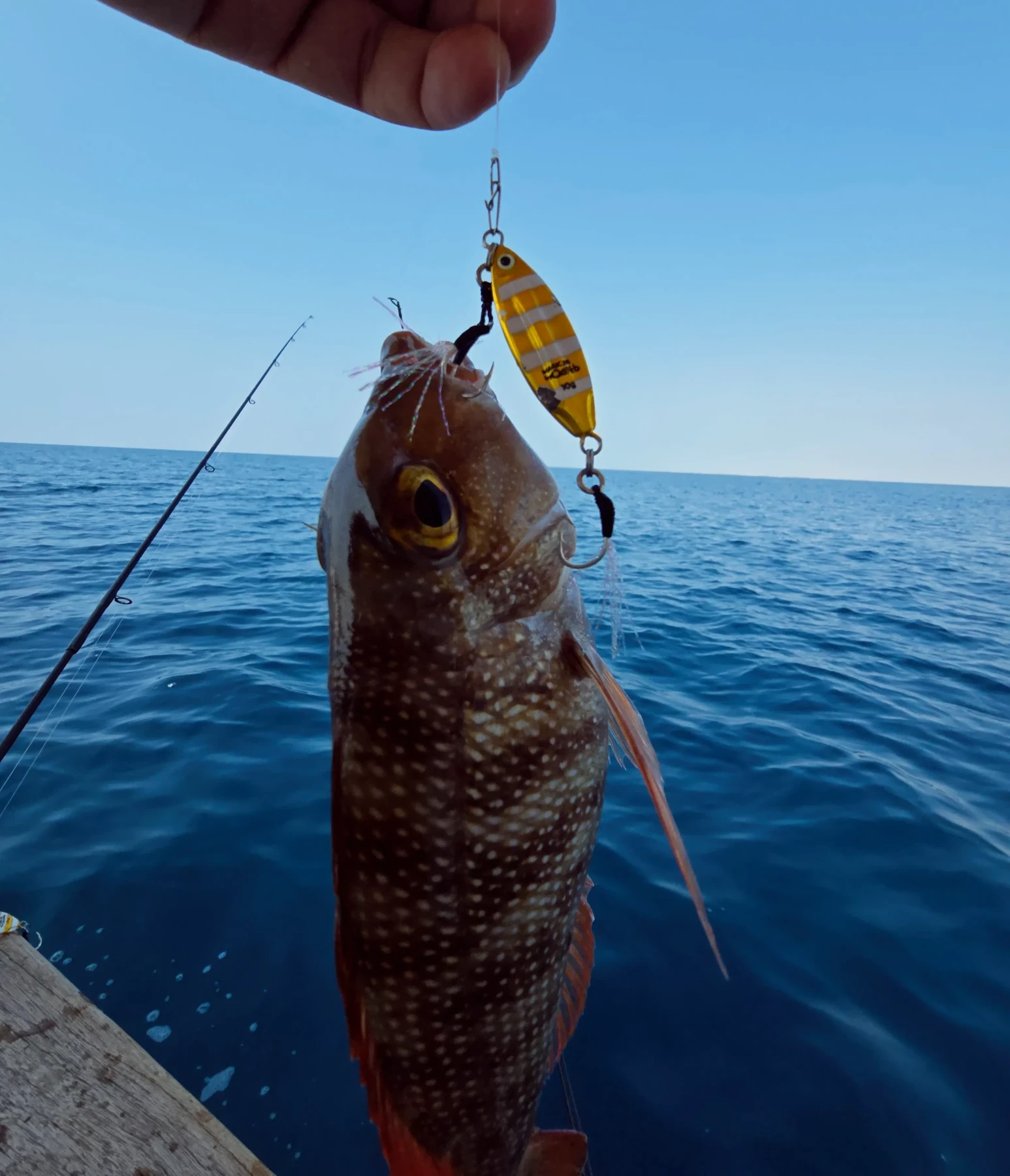 Magic Jig | Premium Metal Jig for Slow Jigging - 7