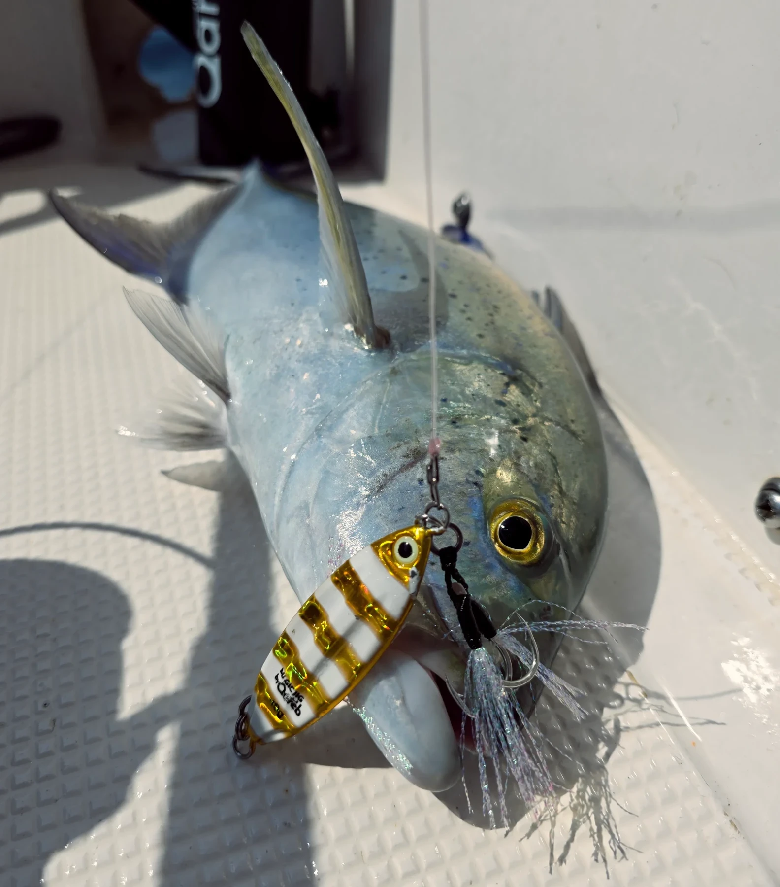 Magic Jig | Premium Metal Jig for Slow Jigging - 8